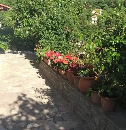 Apartment το σπίτι της ευτυχίας σουίτα